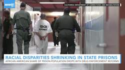 Study: Changing Drug Policies Curb Racial Disparities In State Prisons News Clip