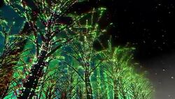Neon Tree illumination Stock Footage