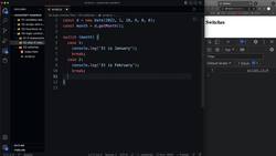 Modern JavaScript from the Beginning - Second Edition - Switches Instructional Video