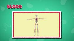 I WONDER - How Long Is The Circulatory System? Instructional Video