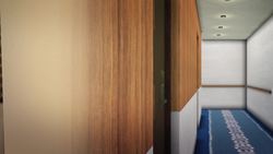 Crew on quarantined cruise ship at greater risk of infection Instructional Video