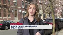 Dead fetus found on Crown Heights street News Clip