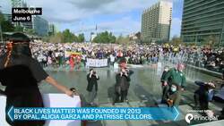 Opal Tometi on Growing Black Lives Matter Via Social Media News Clip