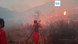 Albania and Bulgaria ask EU for help to deal with raging wildfires News Clip
