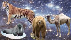 How to Make the Chewbacca Noise Instructional Video