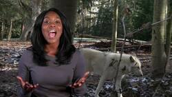 Preserving Our Planet: The Impact of Human Activities on Earth Instructional Video