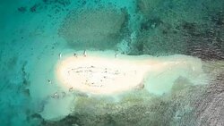 Drone shot aerial view of tropical Island and boat in turquoise pristine water. Directly above view, shot in the Islands of Philippines, Asia. Stock Footage