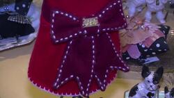 Cashmere, rhinestones and designer labels for pets Instructional Video