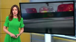 Port Chester man fatally stabbed in Queens News Clip