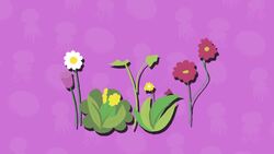 I WONDER - Why Are Invertebrates Important? Instructional Video