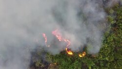 CLEAN : New record for deforestation in the Brazilian Amazon in 12 years News Clip