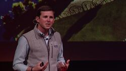 TED: Stunning photos of the endangered Everglades | Mac Stone Instructional Video