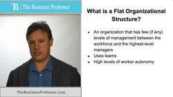 Flat Organizational Structure Instructional Video