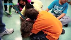 Kindness Is The Universal Language Instructional Video