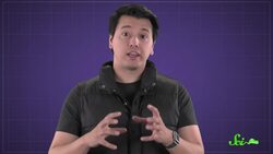 Why Do Stink Bugs Stink? Instructional Video