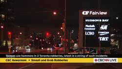 Thieves use hammers in 2 Toronto robberies, latest in a string of such incidents News Clip