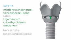 Trachea Instructional Video