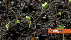 Productor Instructional Video