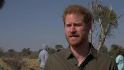 Harry: How can anyone deny climate change? Instructional Video