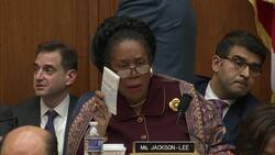 Whitaker doesn't answer 'witch hunt' question Instructional Video