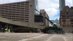 Toronto’s official Christmas tree delivered to Nathan Phillips Square News Clip