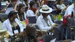 COP16 biodiversity summit signs agreement to grant Indigenous groups a permanent voice News Clip