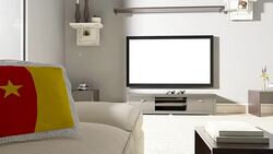 Couch and TV With Flag of Cameroon Stock Footage