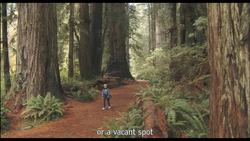 Redwood National and State Parks - Land of the Giants Instructional Video