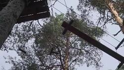 The hanging lumber with the rope in the adventure park Stock Footage