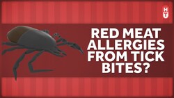How Can a Tick Bite Make You Allergic to Red Meat? Instructional Video