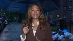 Lithium-ion batteries fire prevention bill for NYC goes to Sente for final vote News Clip