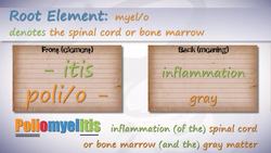 HST-MT- Medical Terminology of the Nervous System Instructional Video