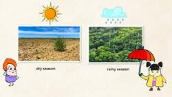 Understanding Seasons: The Earth's Orbit and Tilt Instructional Video