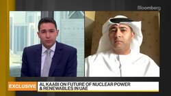 UAE: Any New Iran Nuclear Deal Must Heed Lessons From JCPOA News Clip