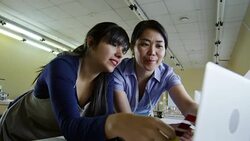 Female Designers Working with Color Swatches Stock Footage