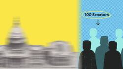 Congressional Whip Instructional Video