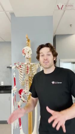 The Fascinating Design of Spongy Bone in Your Skeleton Instructional Video
