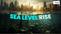Sea Level Rise- Causes & Effects - Understanding the Impact of Climate Change Instructional Video
