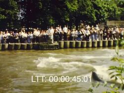 Zoo Animals, 1978 Stock Footage