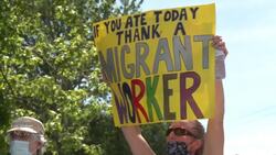 COVID-19 cases surge in Windsor-Essex amid farm worker outbreak News Clip