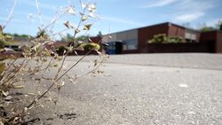 UK: Empty School during coronavirus epidemic lockdown. News Clip