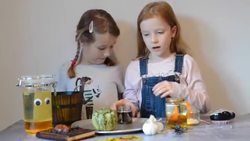 Fizzy Pumpkins Instructional Video