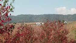 Billionaire governor s family farms get subsidy News Clip