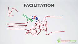 020 Facilitation Instructional Video