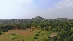 Indian Hills with Fields and Forest Stock Footage
