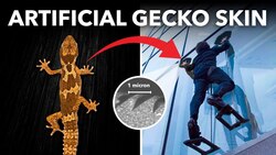 The Stickiest *Non-Sticky* Substance Instructional Video