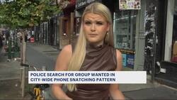 Police search for phone snatchers in Williamsburg News Clip