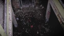 Romanian orphans turn trauma into civic engagement Instructional Video