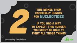 The Woman Who Changed Drug Development Instructional Video