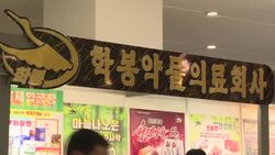 CLEAN : Pyongyang residents visit epidemic prevention and public health exhibition News Clip